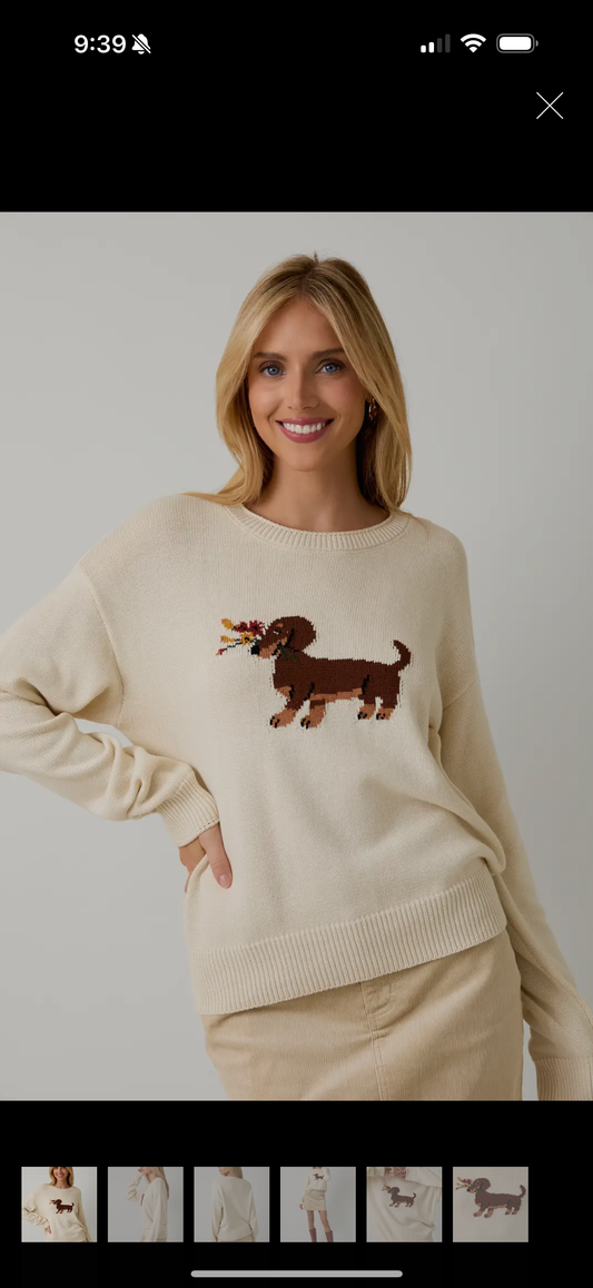 Dachshund Sweater
